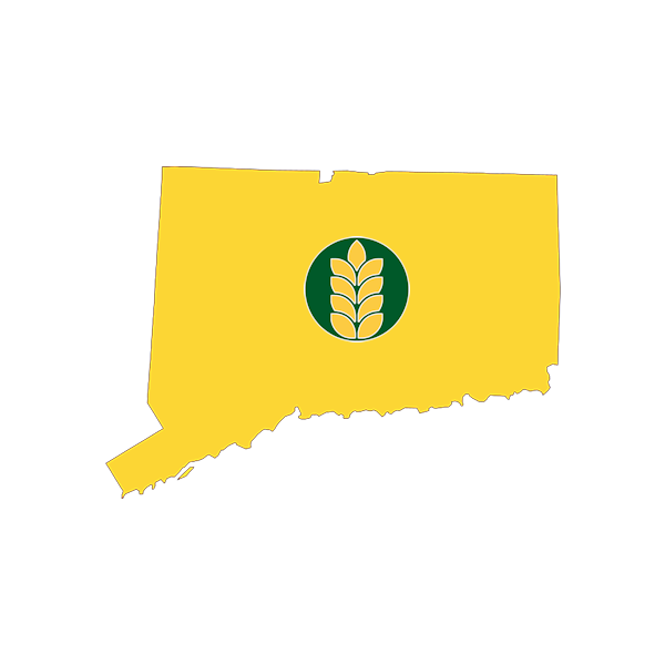 Connecticut Bagel Wholesaler and Supplier