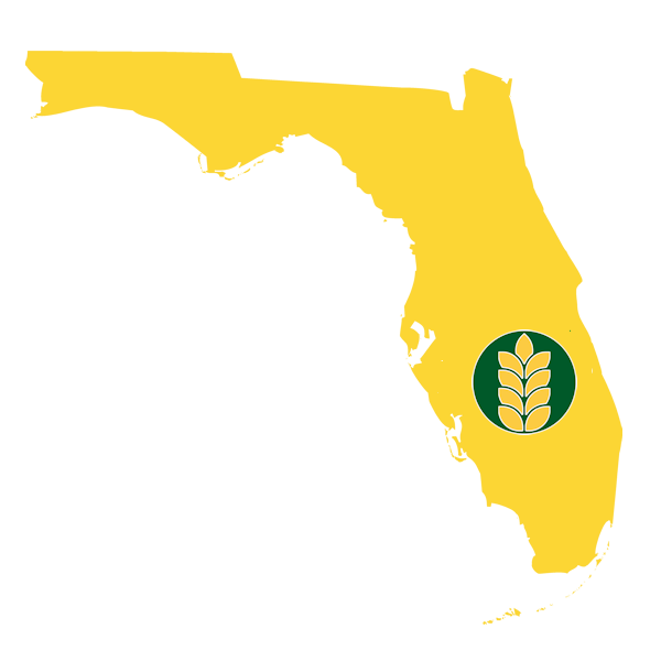 Florida Bagel Wholesaler and Supplier